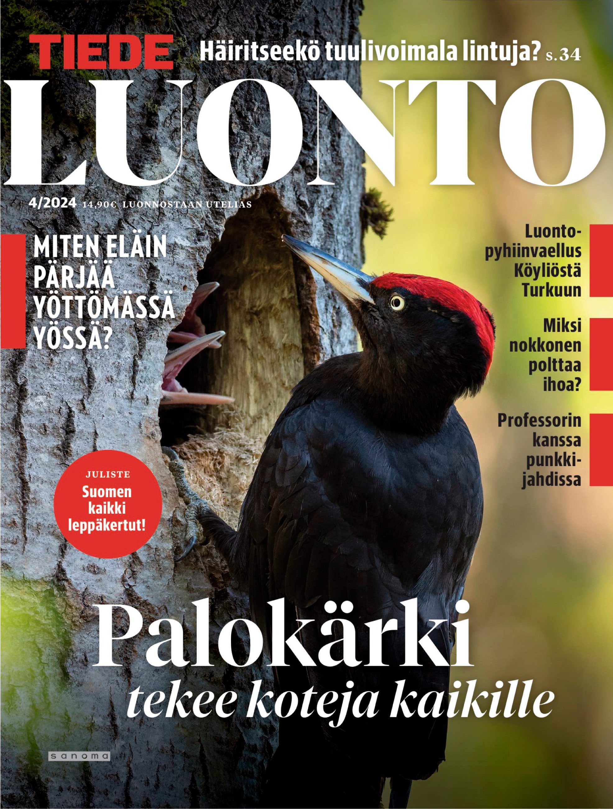 Tiede Luonto kansi